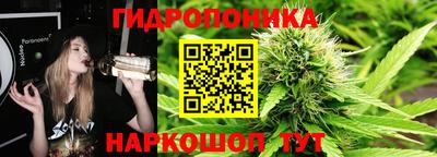 прущие грибы Краснознаменск