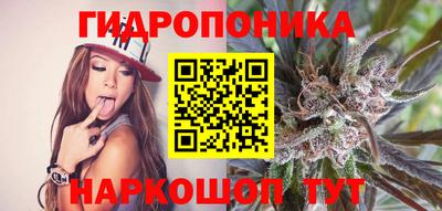 прущие грибы Краснознаменск