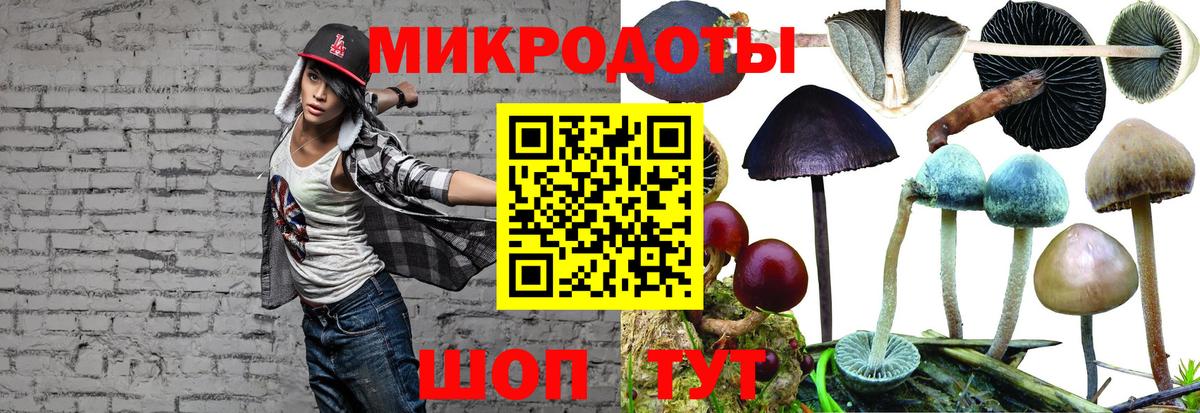 Галлюциногенные грибы мицелий  Вход с VPN  Псилоцибиновые грибы мицелий  Клинцы 